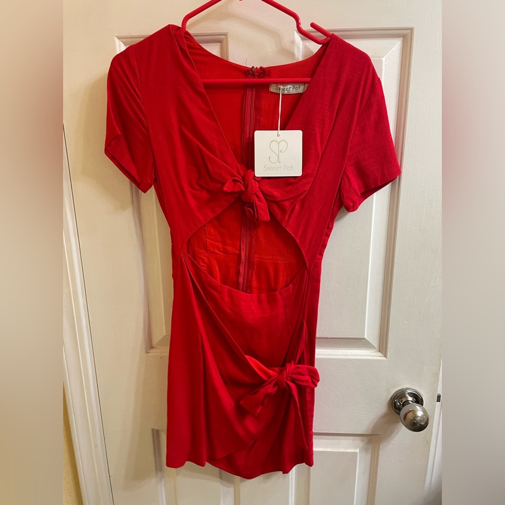 Sweet Pot mini red dress (new)